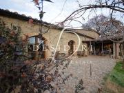 AZIENDA AGRICOLA in VENDITA a CIVITELLA PAGANICO PARI