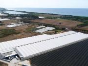 Azienda agricola in vendita a Fondi