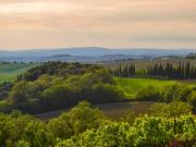 Azienda agricola in vendita a Grosseto