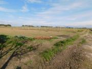 Azienda agricola in vendita a Grosseto
