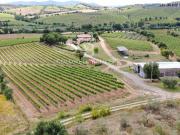 Azienda agricola in vendita a Grosseto