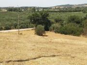 Azienda agricola in vendita a Istia D'ombrone...