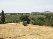 Azienda agricola in vendita a Istia D'ombrone...