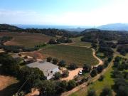 Azienda agricola in vendita a Loceri