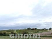 AZIENDA AGRICOLA in VENDITA a MAGLIANO IN TOSCANA