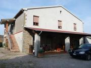 Azienda agricola in vendita a Magliano In Toscana