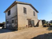Azienda agricola in vendita a Magliano In Toscana