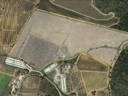 Azienda agricola in vendita a Magliano in Toscana...