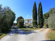 AZIENDA AGRICOLA in VENDITA a MAGLIANO IN TOSCANA PERETA