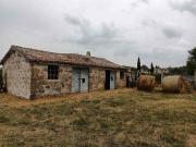 Azienda agricola in vendita a Marta