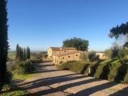 Azienda agricola in vendita a Montalcino