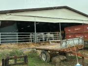 Azienda agricola in vendita a Monte San Savino