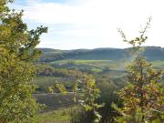 Azienda agricola in vendita a Montepulciano