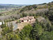 Azienda agricola in vendita a Montescudaio