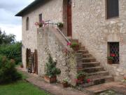 Azienda agricola in vendita a Monticiano