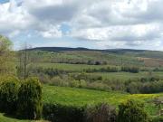 Azienda agricola in vendita a Orvieto