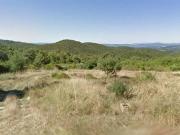 Azienda agricola in vendita a Orvieto