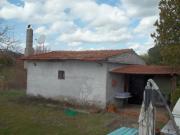 Azienda agricola in vendita a Palombara Sabina