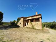 Azienda agricola in vendita a Panicale