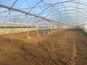 Azienda Agricola in vendita a Partinico