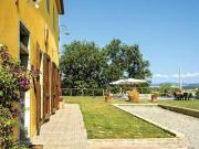 Azienda agricola in vendita a Peccioli 2700 mq Rif: 889760