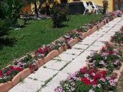 Azienda agricola in vendita a Pesaro