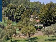 Azienda agricola in vendita a Pescia