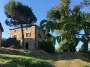 Azienda agricola in vendita a Piacenza