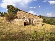 Azienda agricola in vendita a Piegaro
