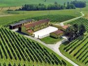 Azienda agricola in vendita a Pontestura