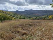 Azienda agricola in vendita a Roccalbegna 994 mq Rif:...