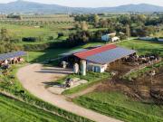 AZIENDA AGRICOLA in VENDITA a ROCCASTRADA