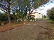 AZIENDA AGRICOLA in VENDITA a ROCCASTRADA RIBOLLA