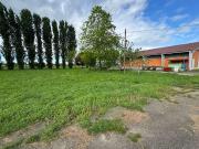 Azienda agricola in vendita a Rubiera