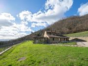 Azienda agricola in vendita a Sansepolcro