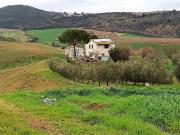 Azienda agricola in vendita a Scansano