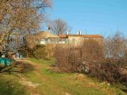 Azienda agricola in vendita a Scansano