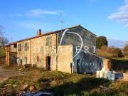 AZIENDA AGRICOLA in VENDITA a SCANSANO MURCI