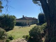 Azienda agricola in vendita a Siena