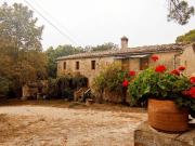 Azienda agricola in vendita a Sovicille