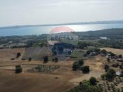 Azienda agricola in vendita a Trevignano Romano