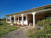 Azienda agricola in vendita a Vada Rosignano Marittimo...