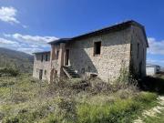 Azienda agricola in vendita a Valfabbrica