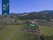Azienda agricola in vendita a Vicchio