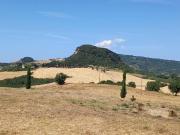 Azienda agricola in vendita a Volterra