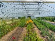 Aziende agrarie e floricole Centro e Nord Italia
