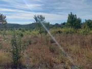 Azille Vente Terrain 11