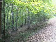 Azule Ridge Dr, Bostic, Plot For Sale