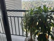 B grand Lomas Santa Fe