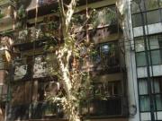 B. NORTE 2 AMB AMPLIOS C/ BALCON